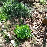 דירה Tea 100m2 In Rose For 5 Guests Mrse