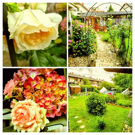 Roseart Star Apartment, Spacious Retreat Mrse